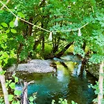 Pine River Dobrenica - Private 4000m2 Riverside Estate Alpesi faház