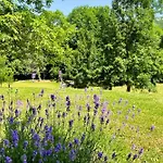 Alpesi faház Pine River Dobrenica - Private 4000m2 Riverside Estate