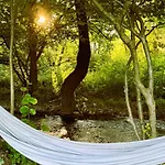 Pine River Dobrenica Lodge *