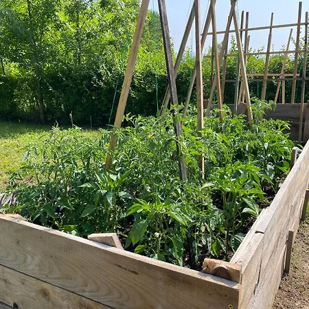 Pine River Dobrenica - 4000 M2 Riverside Estate Σαλέ *