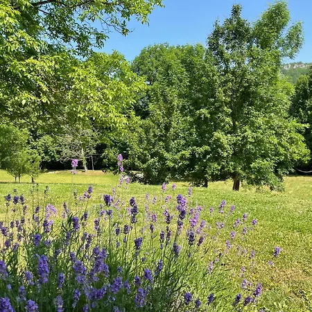 Chalé Pine River Dobrenica - 4000 M2 Riverside Estate