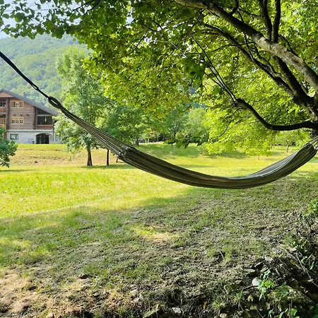 Σαλέ Pine River Dobrenica - 4000 M2 Riverside Estate *