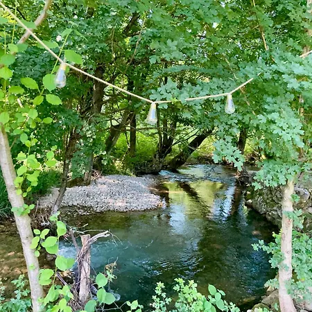 Pine River Dobrenica - 4000 M2 Riverside Estate