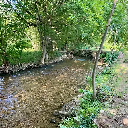 Pine River Dobrenica - 4000 M2 Riverside Estate בקתה *