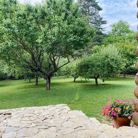 Pine River Dobrenica - 4000 M2 Riverside Estate