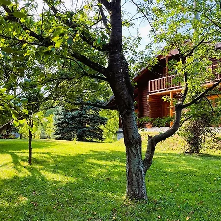 Orman Evi Pine River Dobrenica *