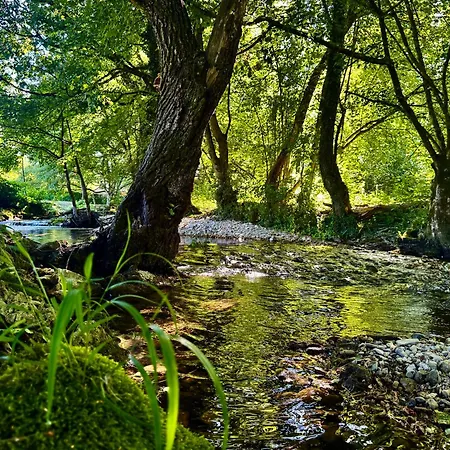 Pine River Dobrenica * Bihać